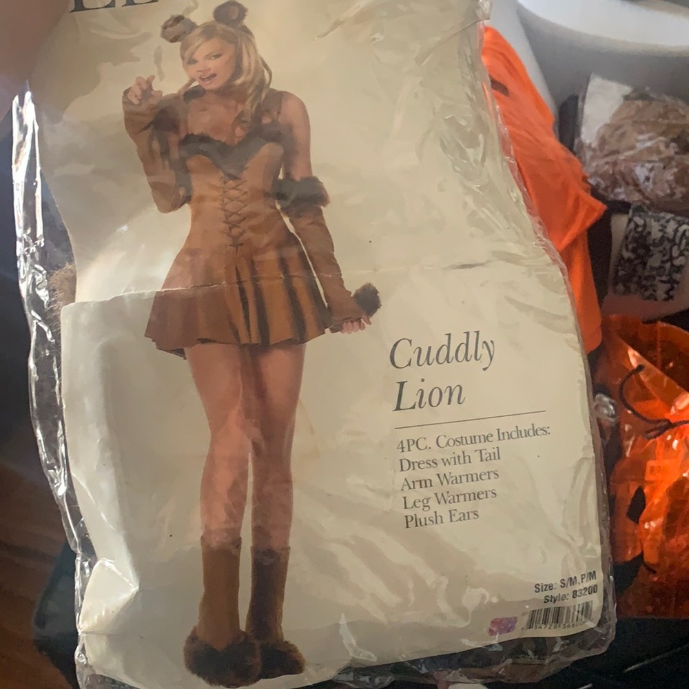 Lion costume